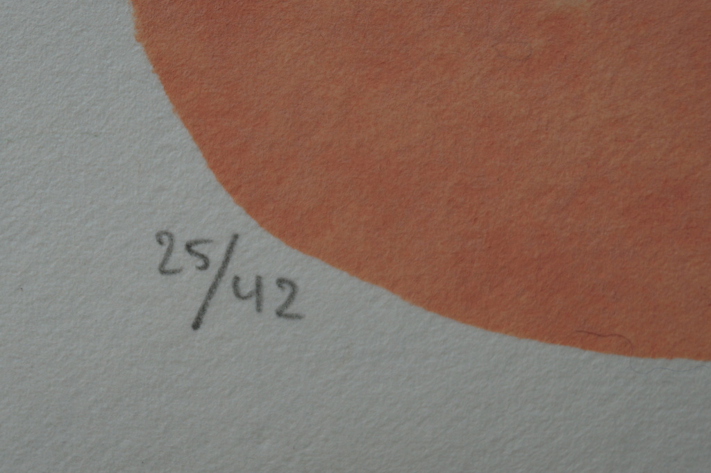 Loes Huis in 't Veld - gesigneerde zeefdruk - 42 ex. kopen? Bied vanaf 18!