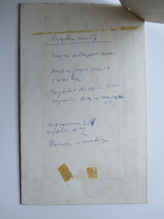 LAATSTE KEER LAGERE PRIJS Doeve, gouache, ontwerp voor boek  kopen? Bied vanaf 75!