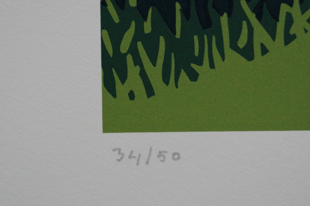 Roel Jonges - gesigneerde zeefdruk - 50 ex. kopen? Bied vanaf 10!