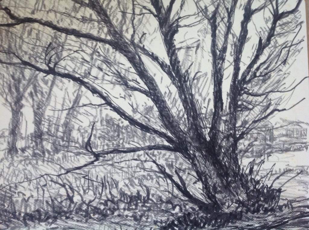 Frans Mars: houtskool op papier, Boslandschap kopen? Bied vanaf 1!