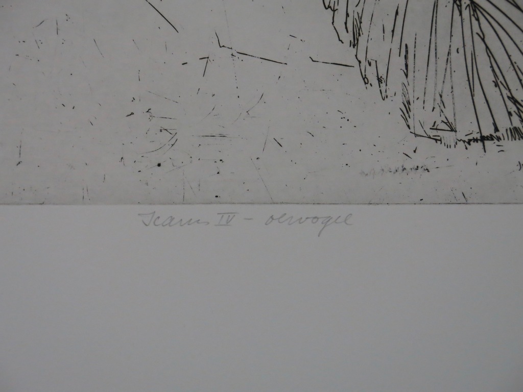 Robert Terwindt: Ets, Icarus VI Oervogel kopen? Bied vanaf 20!