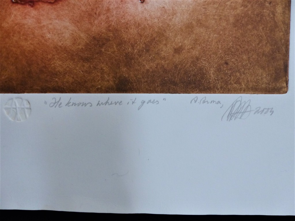 Ad Arma,Ets, He knows where it goes,Handgesigneerd.,oplage 3/12. kopen? Bied vanaf 100!