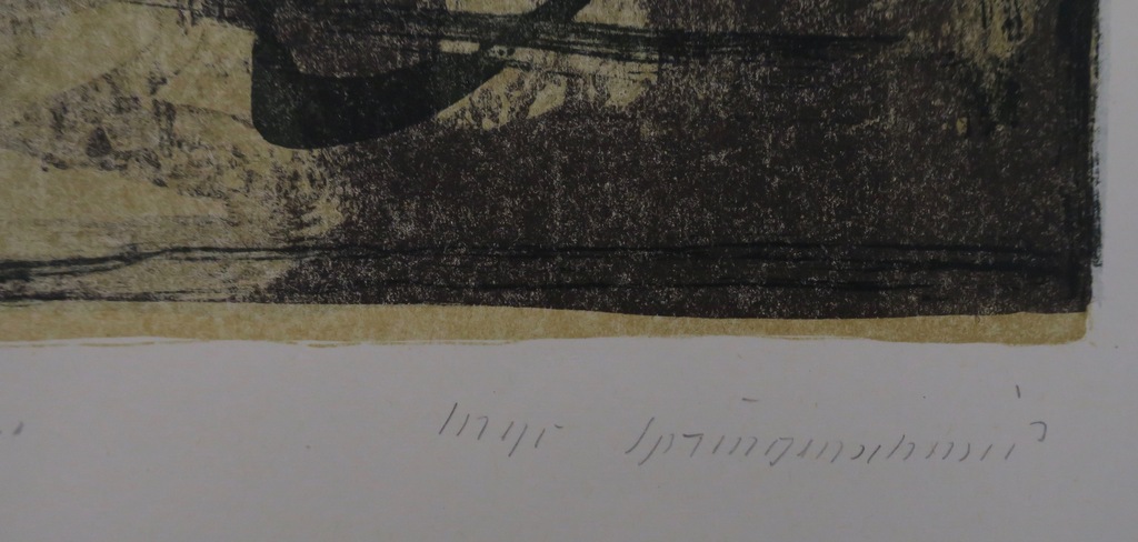 Ingo Springenschmid: Litho. Model einer Landschaft kopen? Bied vanaf 1!