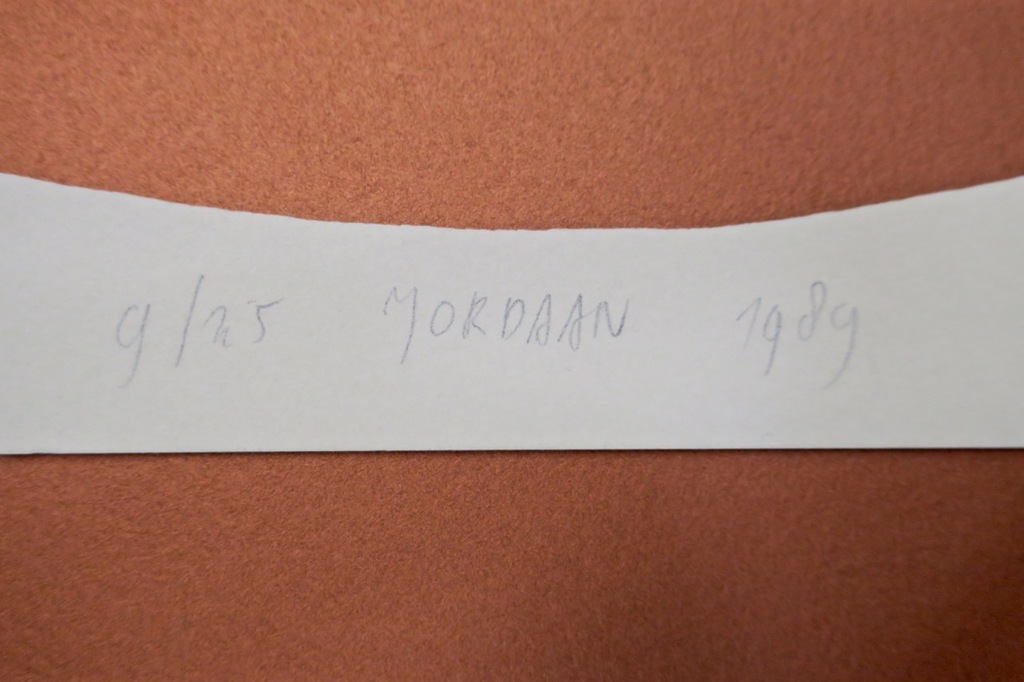 Lot met 19 werken van: Peter Jordaan, Zeefdruk, Oranje/groen en wit/koper kopen? Bied vanaf 1!