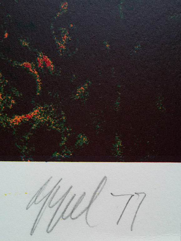 Karel Appel - Saturday, handgesigneerde zeefdruk (groot) kopen? Bied vanaf 250!