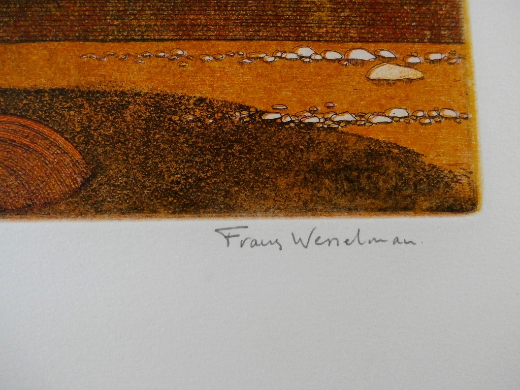 Frans Wesselman - ets: Shelduck  kopen? Bied vanaf 50!