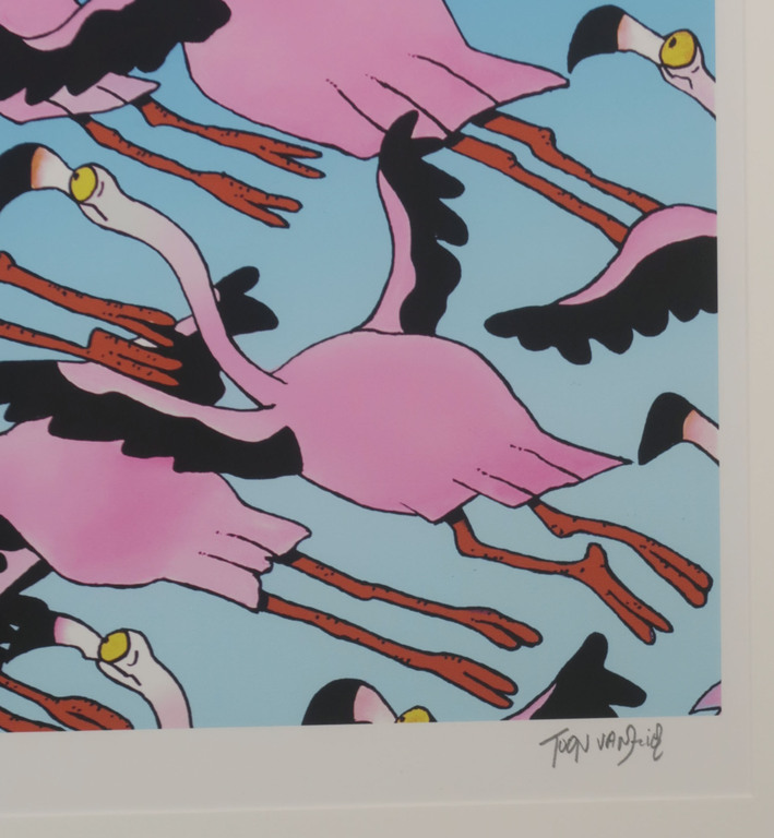Toon van Driel: Giclee, Flamingo - Ingelijst kopen? Bied vanaf 40!