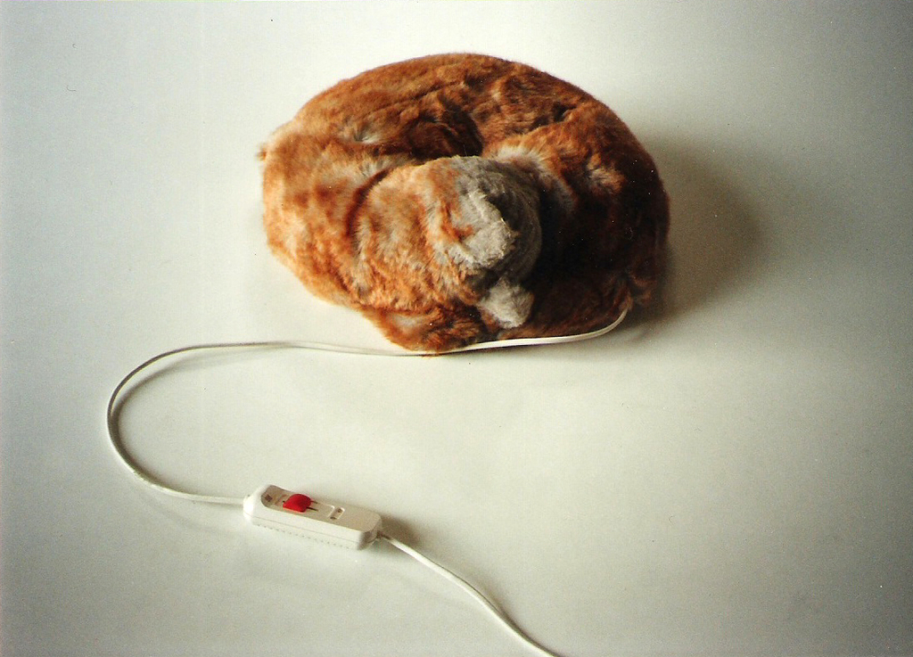 Paul de Reus, Slaapkat, 1995 kopen? Bied vanaf 1!