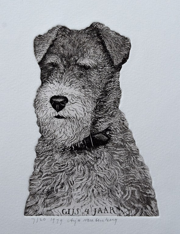 Arja van den Berg , ets # GIJS 4 JAAR # mint , oplage 20, genummerd/gesigneerd  verkocht voor € 45!