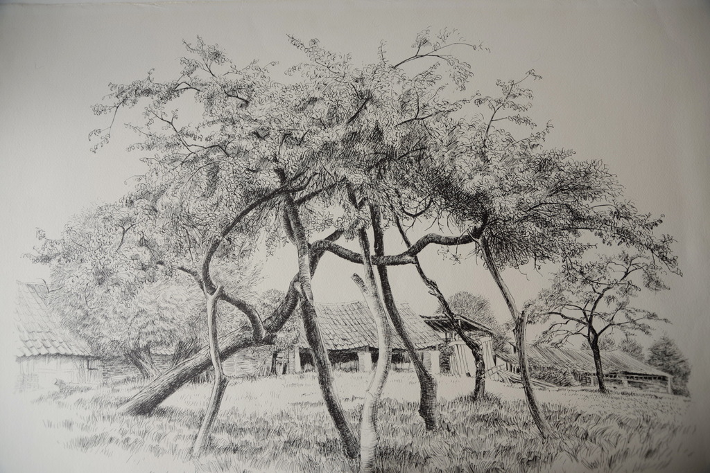 Patrick Creyghton - ETS - ' Boomgaard ' 1977 - gesigneerd  - Nr. 20/60 kopen? Bied vanaf 99!