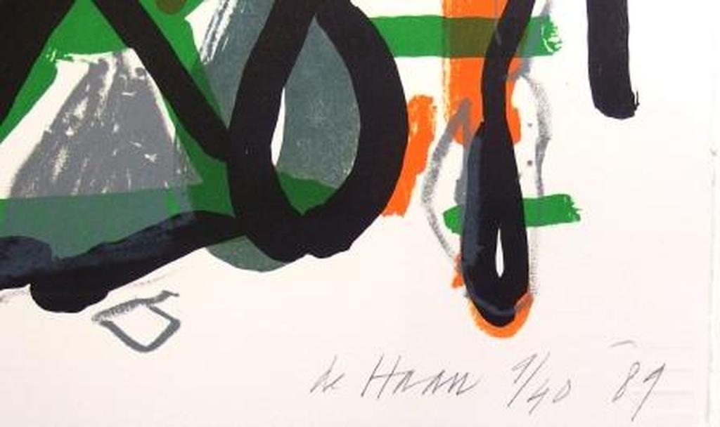 Jurjen de Haan: kleuren litho kopen? Bied vanaf 15!