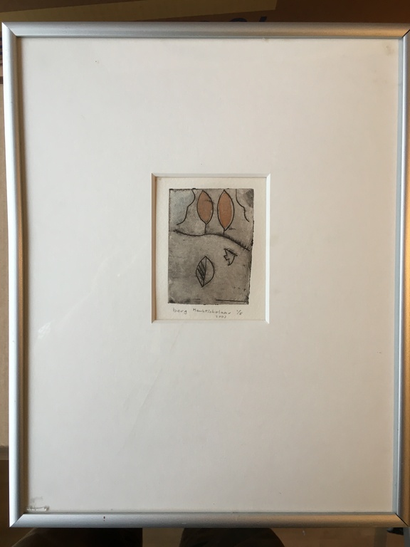 Henk Tichelaar, droge Naald ingekleurd, druk 1/5 handgesigneerd werk "Berg" kopen? Bied vanaf 35!