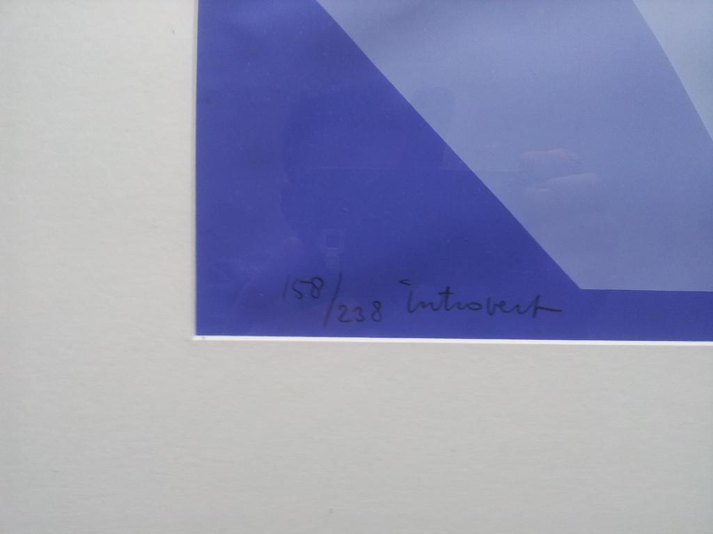 Henk Rongen Gesigneerde Zeefdruk Introvert Ingelijst Oplage 238 kopen? Bied vanaf 1!