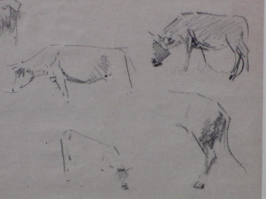 Gerrit Willem Dijsselhoff, Studie van runderen, Tekening kopen? Bied vanaf 1!