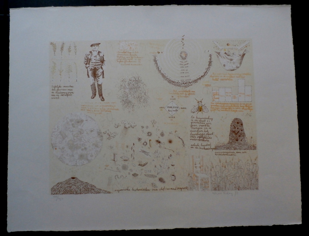 Theo Kley - litho: de bananenvlieg - 1972 kopen? Bied vanaf 20!