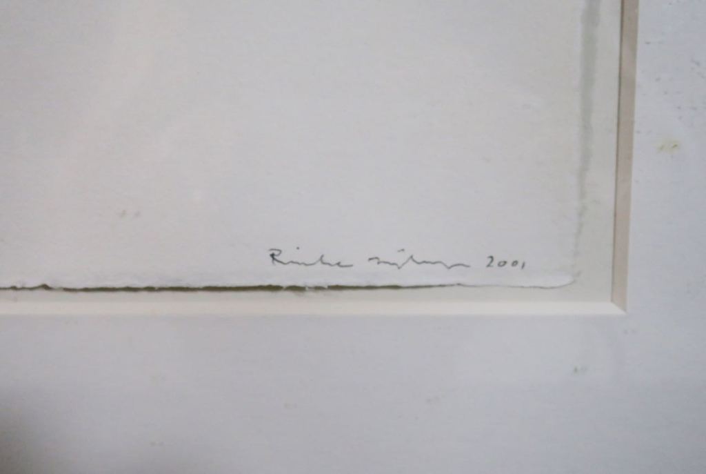 Rinke Nijburg: Gem.gr.techniek,The snake's view - Ingelijst kopen? Bied vanaf 1!