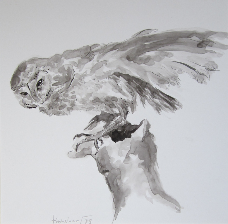 André Tigchelaar: Gewassen tekening, Uil kopen? Bied vanaf 1!