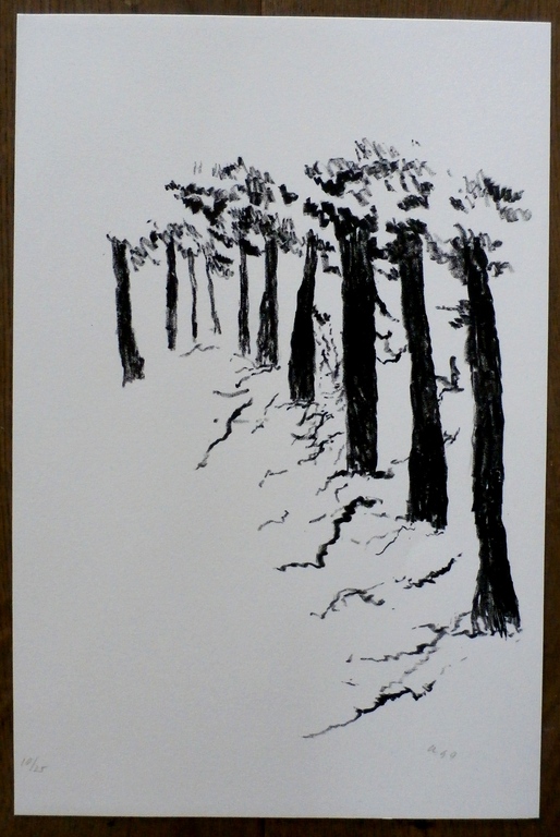 Armando - litho: confrontaties tussen potlood en papier (bomen)  kopen? Bied vanaf 260!