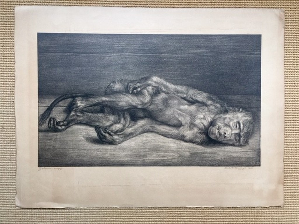 Aart van Dobbenburgh, litho, gestorven aapje, 1933 kopen? Bied vanaf 80!