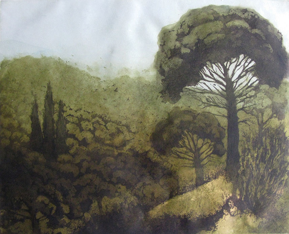 Willy Belinfante - PIJNBOMEN - kleurets verkocht voor € 55!