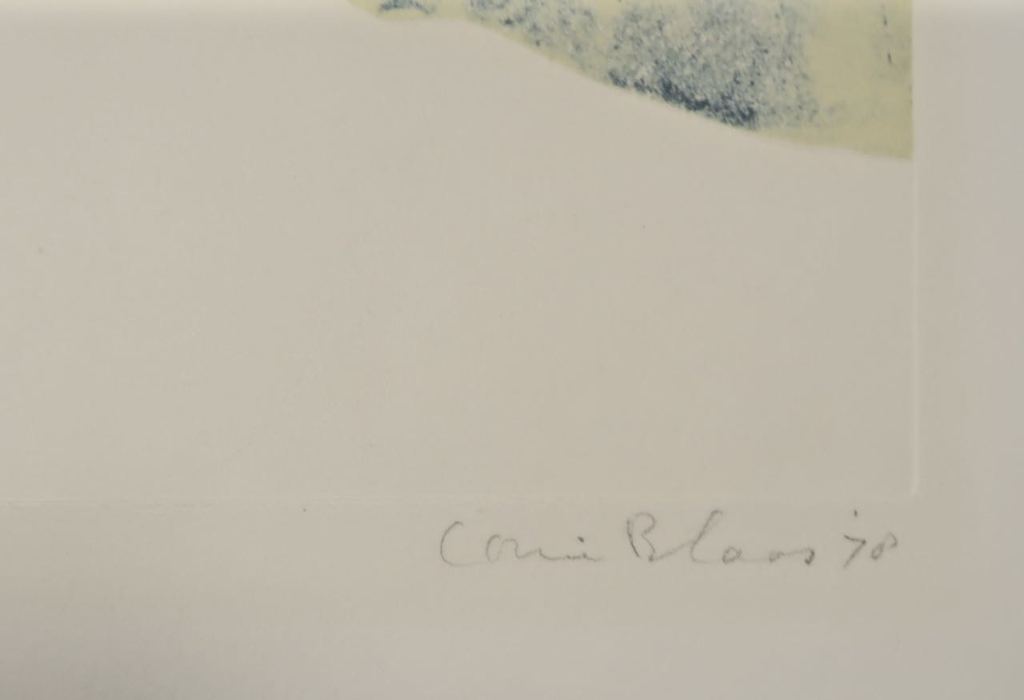 Corrie Blaas: Etsen, Wales no 2 kopen? Bied vanaf 1!