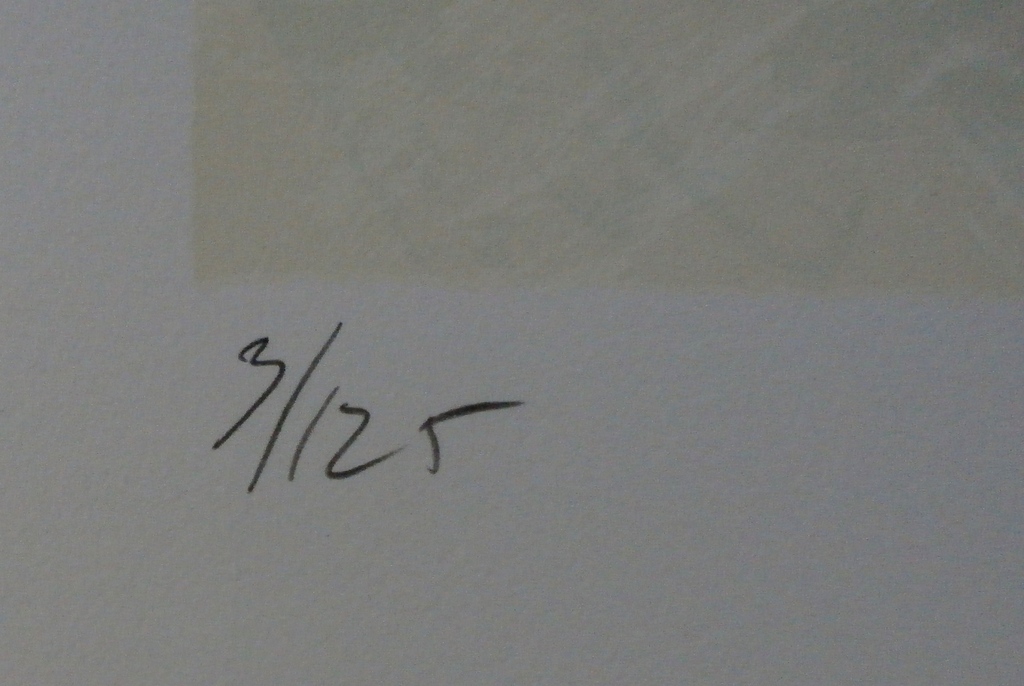 Wouter Stips - zeefdruk: een beetje gelukkkig - 1996 - Groot! kopen? Bied vanaf 125!