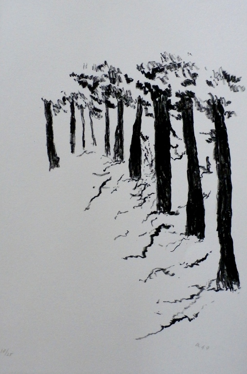 Armando - litho: confrontaties tussen potlood en papier (bomen) kopen? Bied vanaf 260!