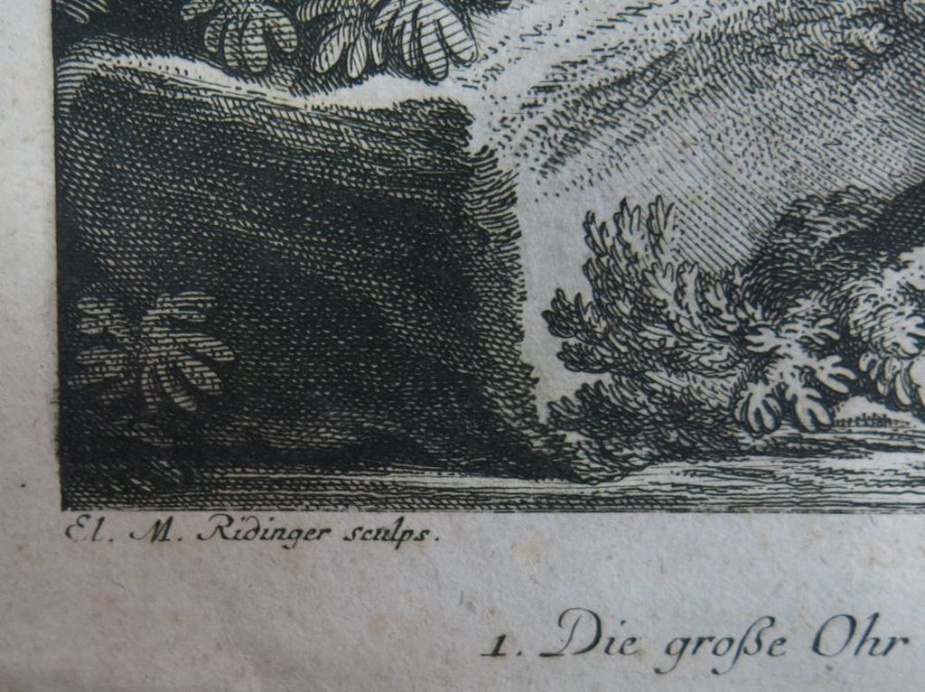 Johann Elias Ridinger: Ets, Uiltjes kopen? Bied vanaf 35!