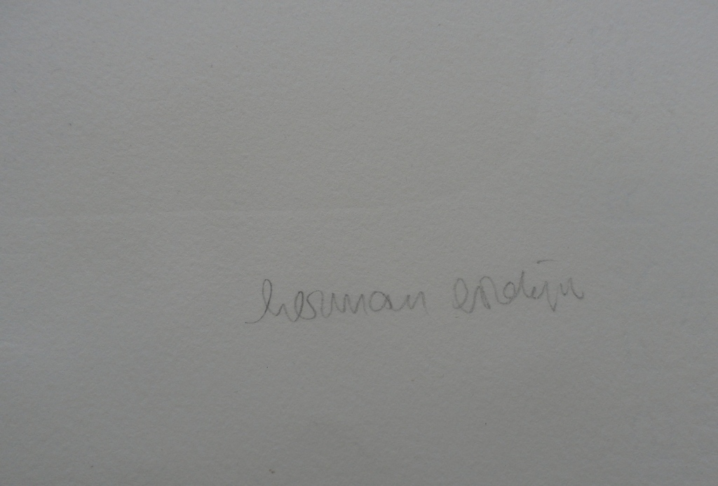 Herman Gordijn - Herman Gordijn - litho: rolschaatsend figuur kopen? Bied vanaf 150!