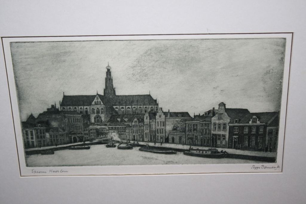 BOTEN AAN HET SPAARNE HAARLEM van POPPE DAMAVE verkocht voor € 65!