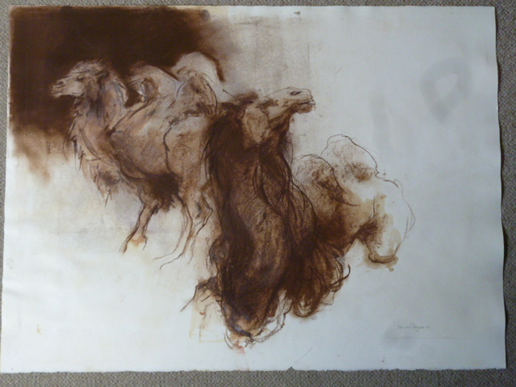 Ru van Rossem - krijttekening - Twee kamelen kopen? Bied vanaf 140!