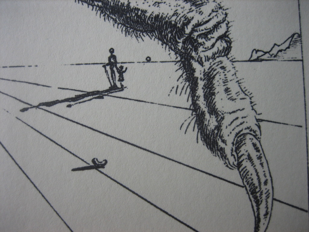Salvador Dali - Mygale Spider - Lithografie - Oplage 2500 ex - 1944 kopen? Bied vanaf 1!