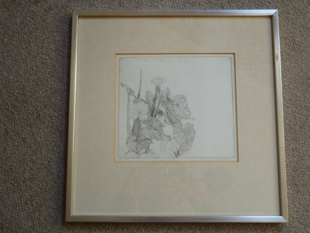 Charles Donker - ets - Slakje kopen? Bied vanaf 125!