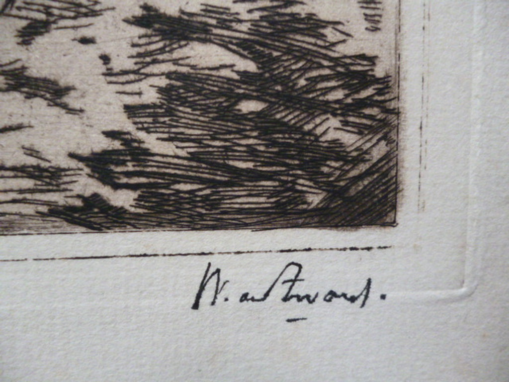 Willem de Zwart - ets - Koeien onder bomen kopen? Bied vanaf 35!