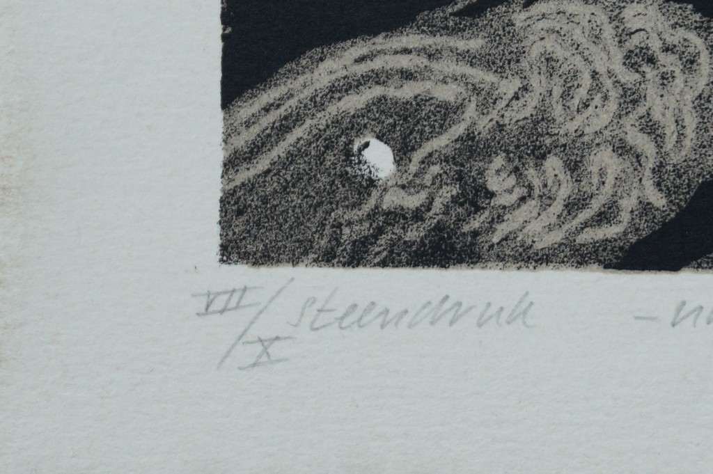 Wim Jonkman - gesigneerde steendruk - nachtmerrie IV kopen? Bied vanaf 1!