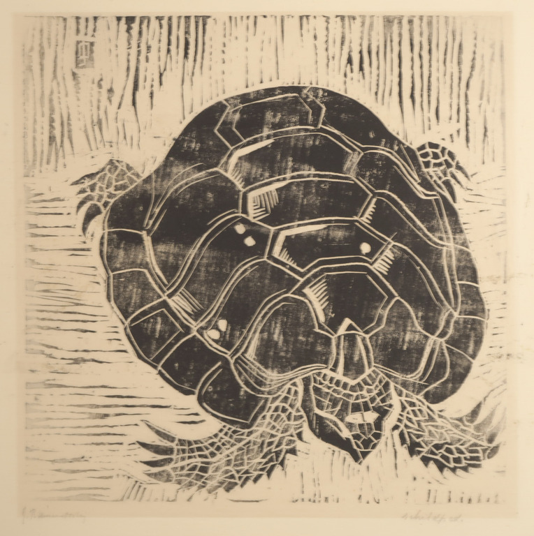 Jeanne Bieruma Oosting: Lino, Schildpad kopen? Bied vanaf 35!