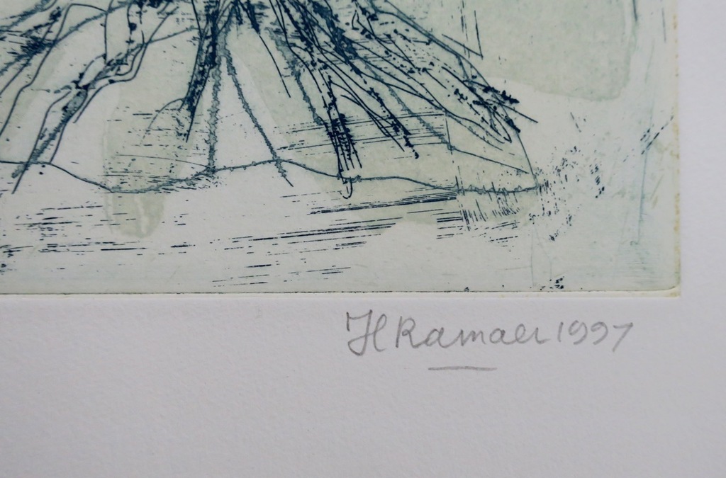 Hanny Ramaer: Ets, Z.T. (Groen) kopen? Bied vanaf 1!