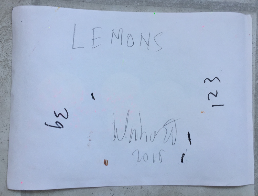Peter Klashorst - Lemons - Originele Acrylverf tekening kopen? Bied vanaf 1!