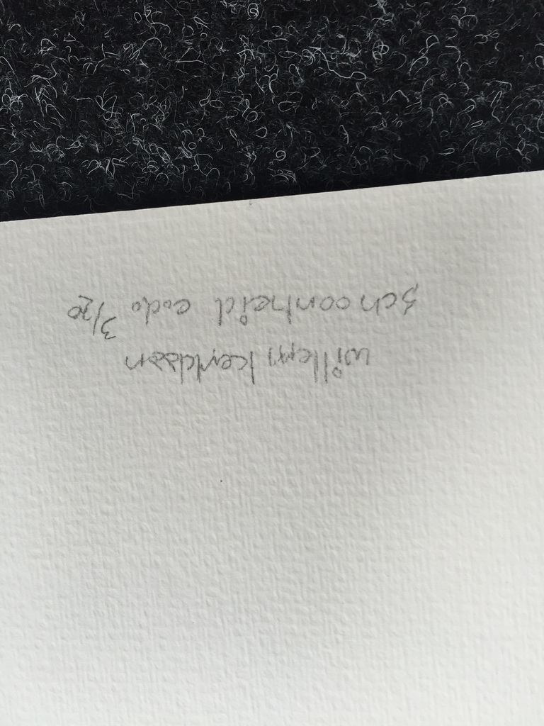 Willem Kerklaan  zeefdruk/ litho   schoonheid kopen? Bied vanaf 1!