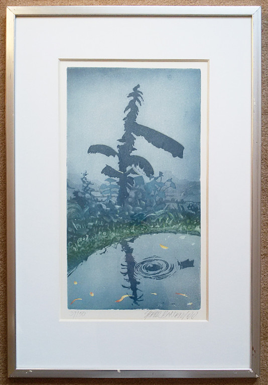Sjoerd Bakker - Tropisch landschap, aquatint ets (ingelijst) kopen? Bied vanaf 1!