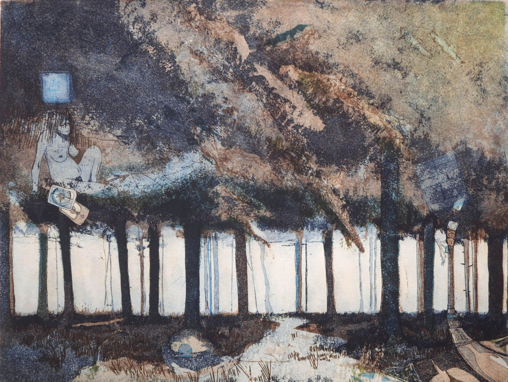 Fred Thoolen: Ets en aquatint, Zonder titel kopen? Bied vanaf 1!