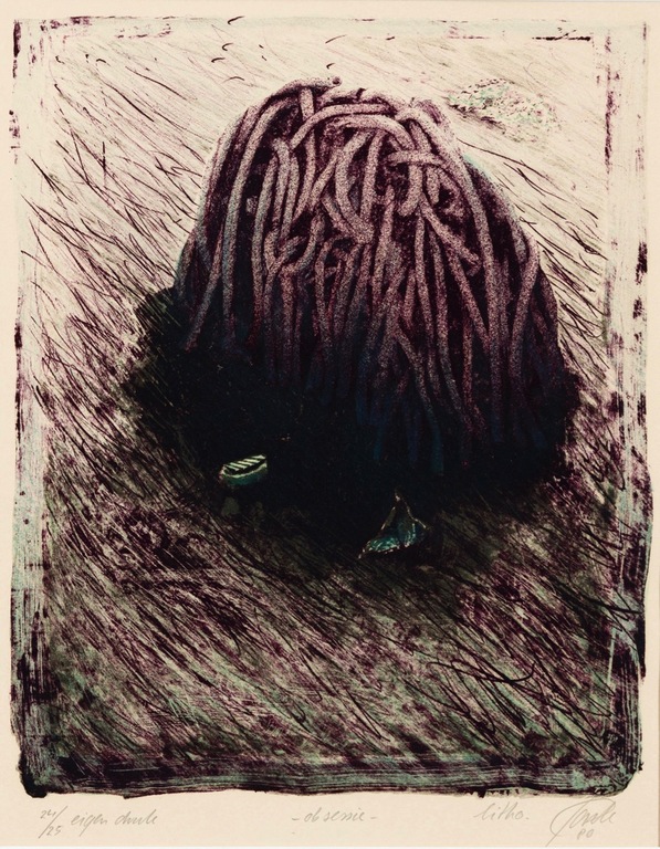 Wim Jonkman: Litho, Obsessie - Ingelijst kopen? Bied vanaf 20!