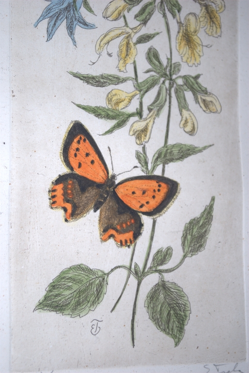 Vlinder en bloemen - gesigneerde kleurets kopen? Bied vanaf 25!