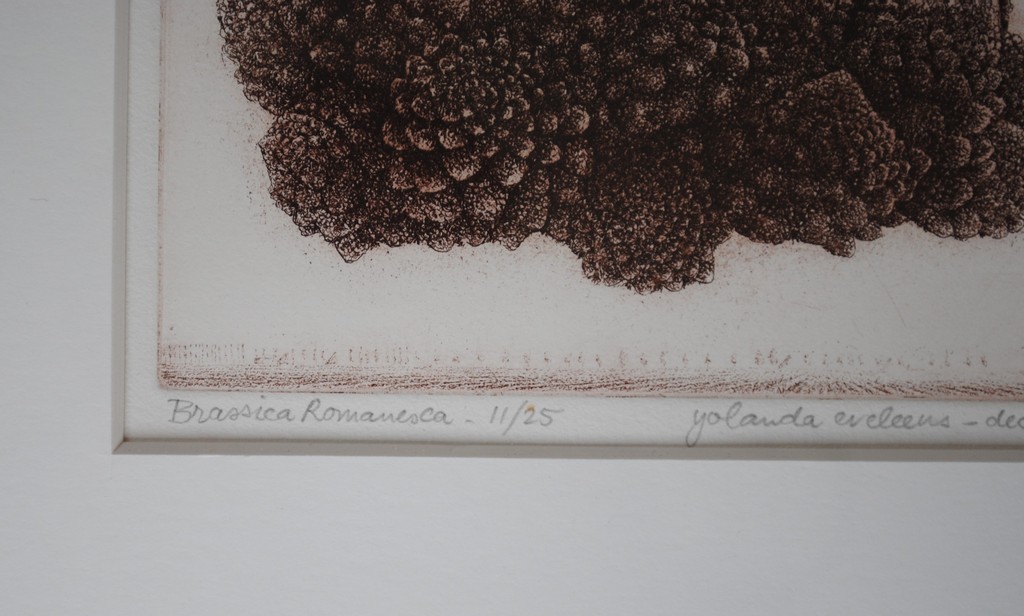 Yolanda Eveleens - ets - 'Brassica Romanesca' - dec. 1986 - 11/25 - ingelijst kopen? Bied vanaf 75!