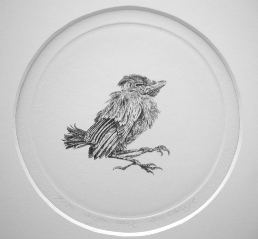 Dick Stolwijk, ets: vogeltje kopen? Bied vanaf 25!