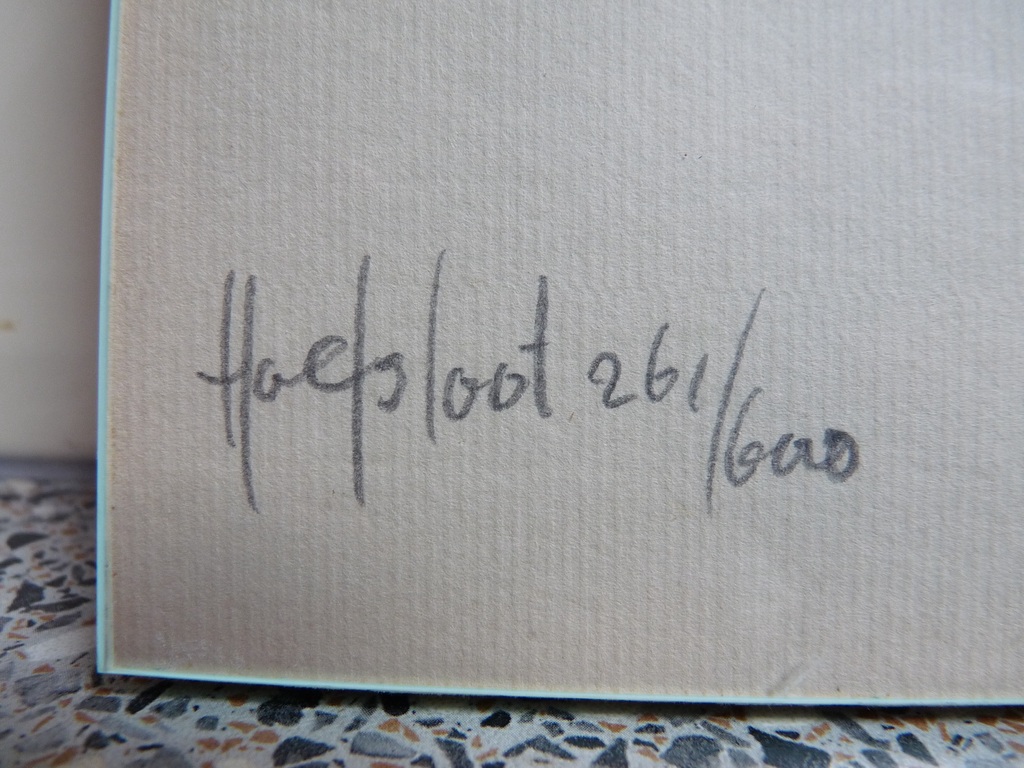 3 litho,s van Ted Hoefsloot  kopen? Bied vanaf 40!