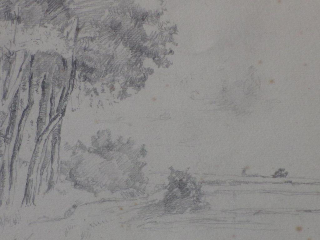 Pieter de Zwart, Polderlandschap met bomen, Tekening kopen? Bied vanaf 1!