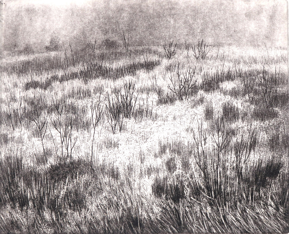 Paulien Wittenrood: Ets, Mist kopen? Bied vanaf 40!