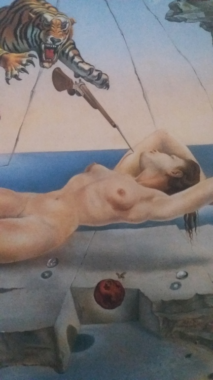 Salvador Dali - Lithografie - Réve causé par le vol d'une abeille ... kopen? Bied vanaf 350!