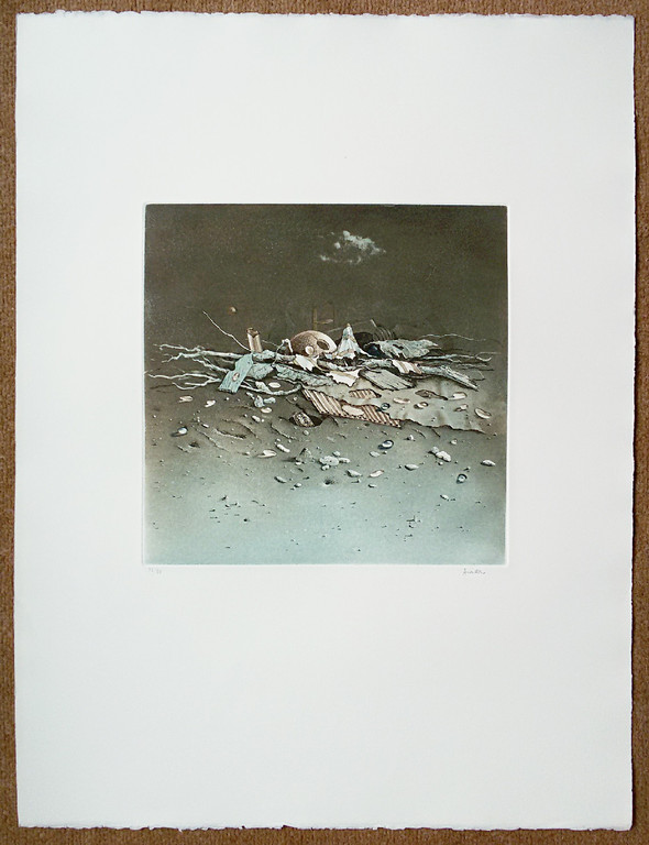 Hiroshi Asada - Wrakhout, aquatint ets kopen? Bied vanaf 55!